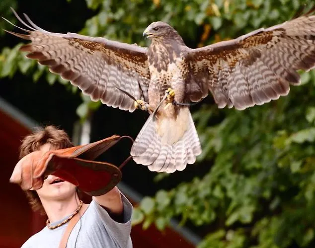 Horská chata Pod Brzozami Ustroň